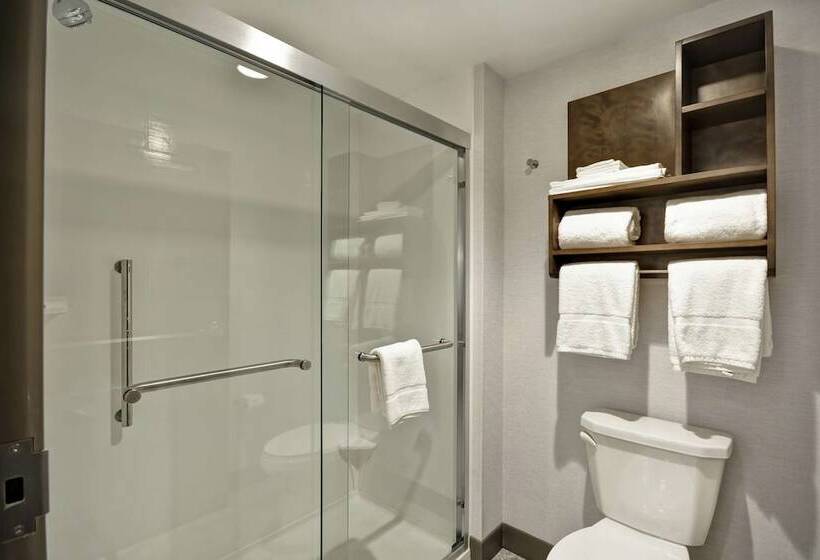 هتل Homewood Suites By Hilton Detroit