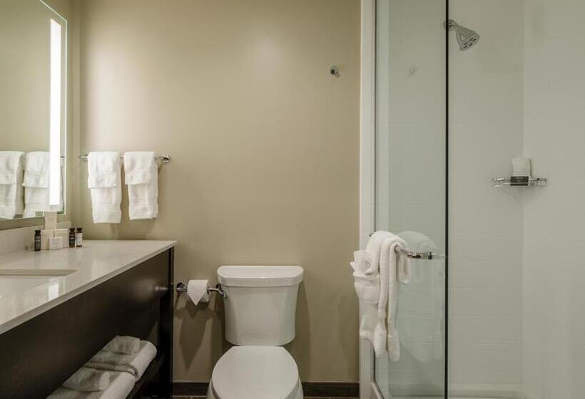 호텔 Madison & Shenandoah Conference Ctr