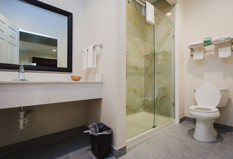 هتل Scottish Inn & Suites  Atascocita
