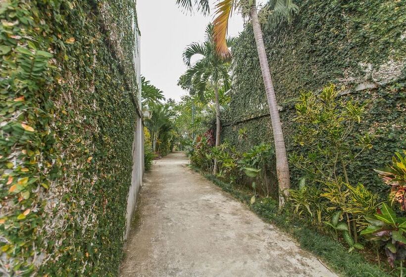 Fotos del hotel Canikaya Villas Ubud:  4