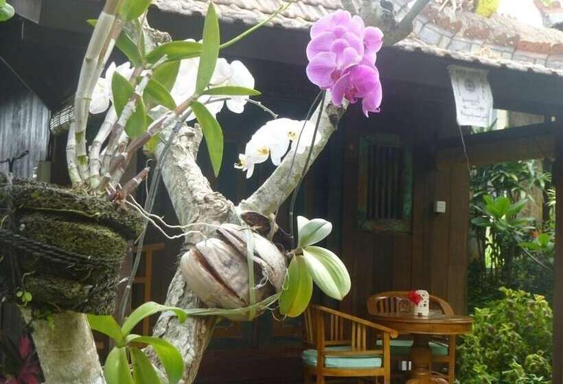 Fotos del hotel Joglo Taman Sari Villa:  9