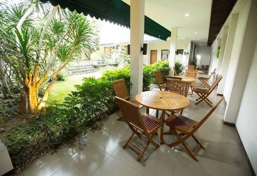 Fotos del hotel Marciella:  16