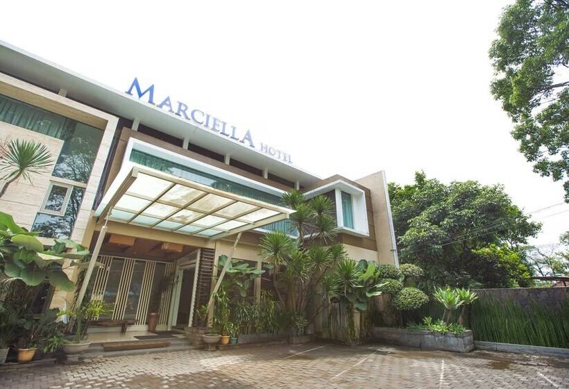 Fotos del hotel Marciella:  4