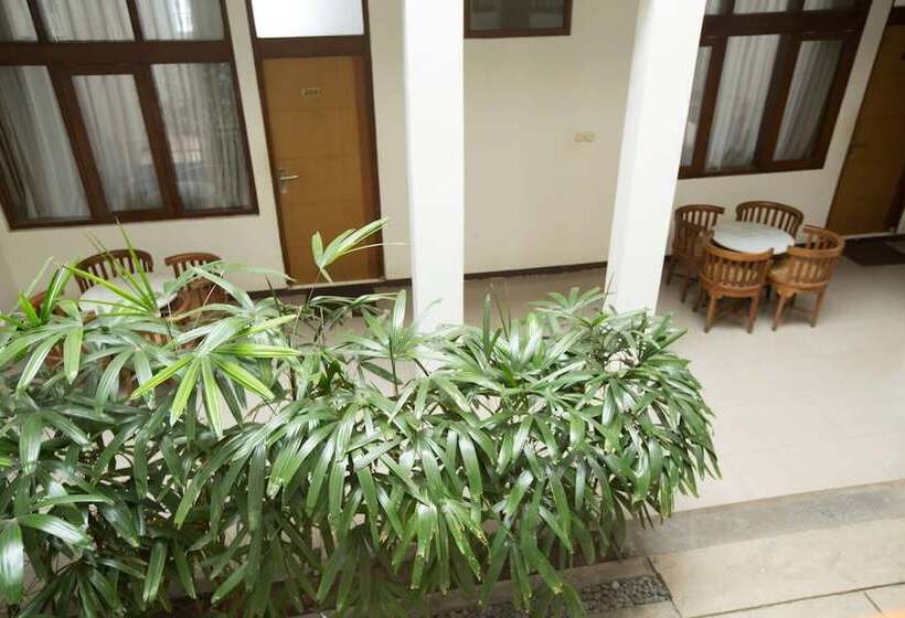 Fotos del hotel Marciella:  21