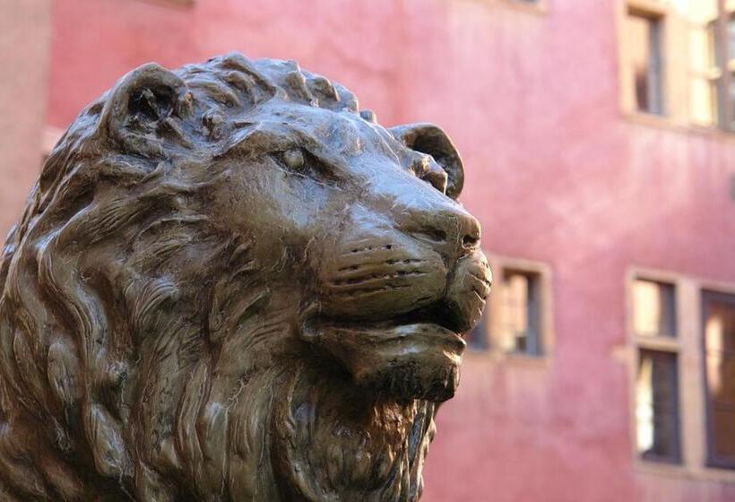 Fotos del hotel Mhl  Maison  Lyon:  13