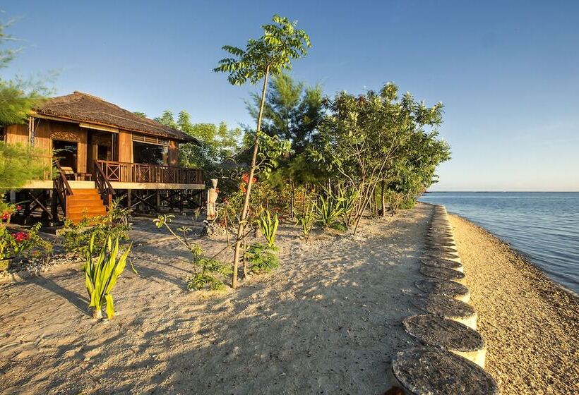 בית מלון כפרי Nirvana Gili Sudak