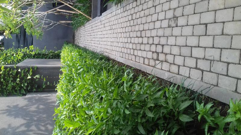 Fotos del hotel Origin Ubud:  3