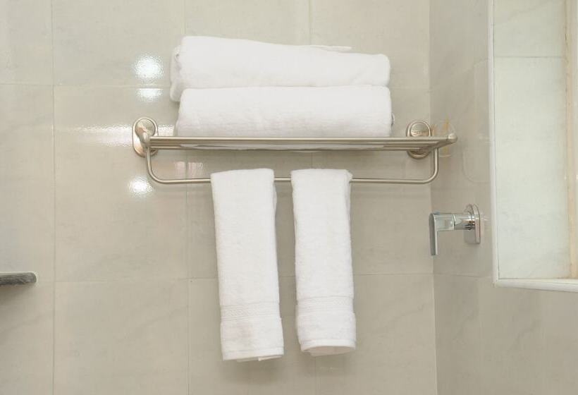 هتل Saibala Budget Airport