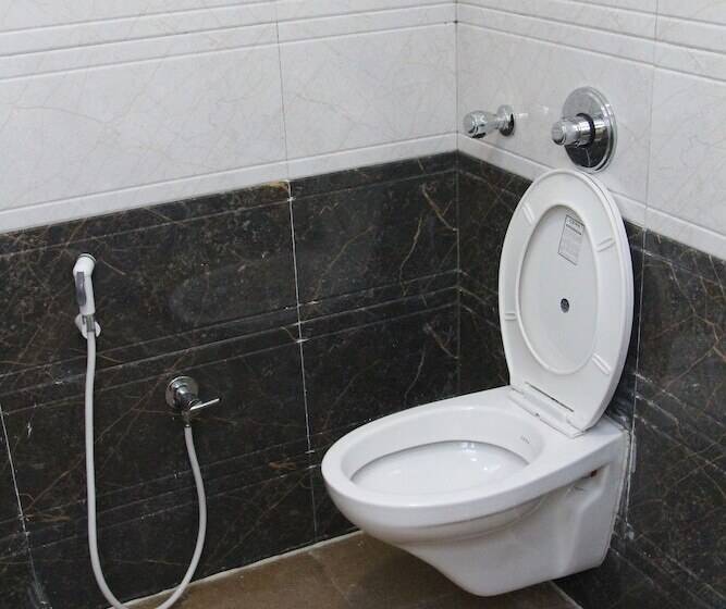 Hotel Swaraj The Goan Dream