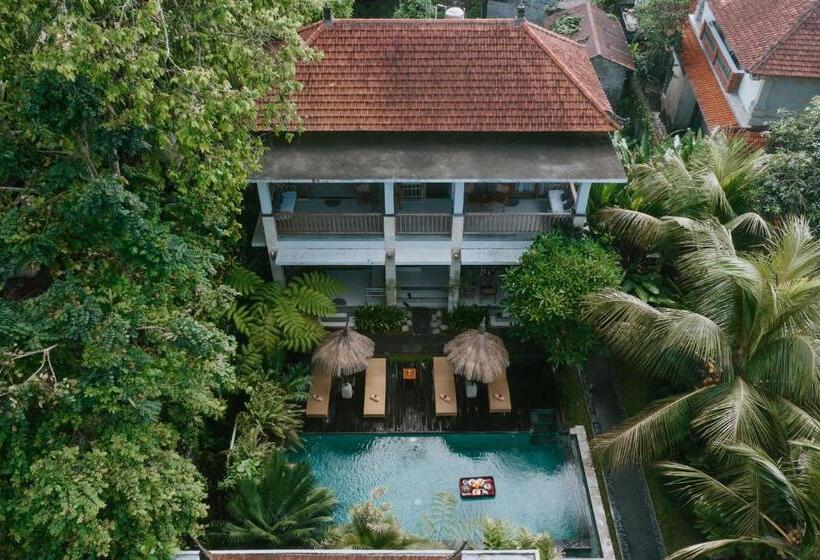 Fotos del hotel The Umari:  22