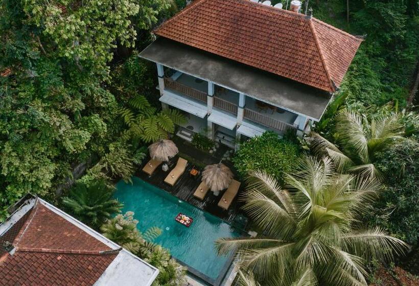 Fotos del hotel The Umari:  20