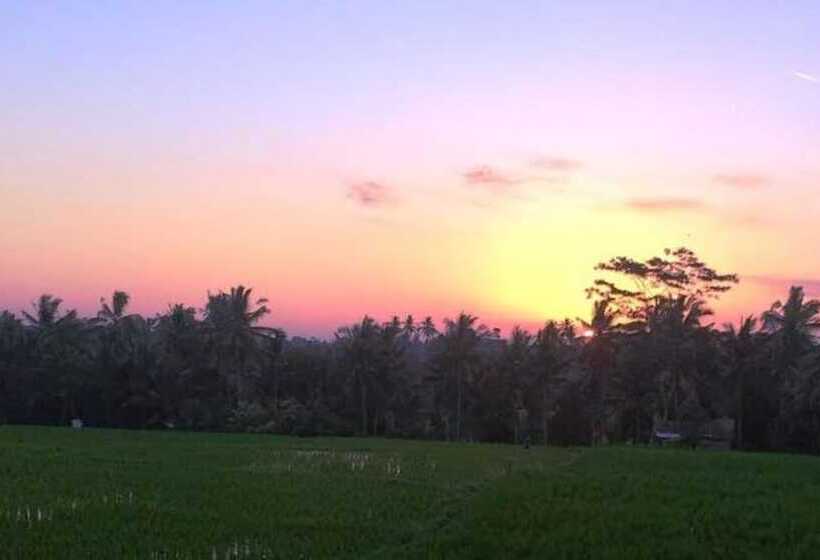 Fotos del hotel Uma Kutuh 2:  39