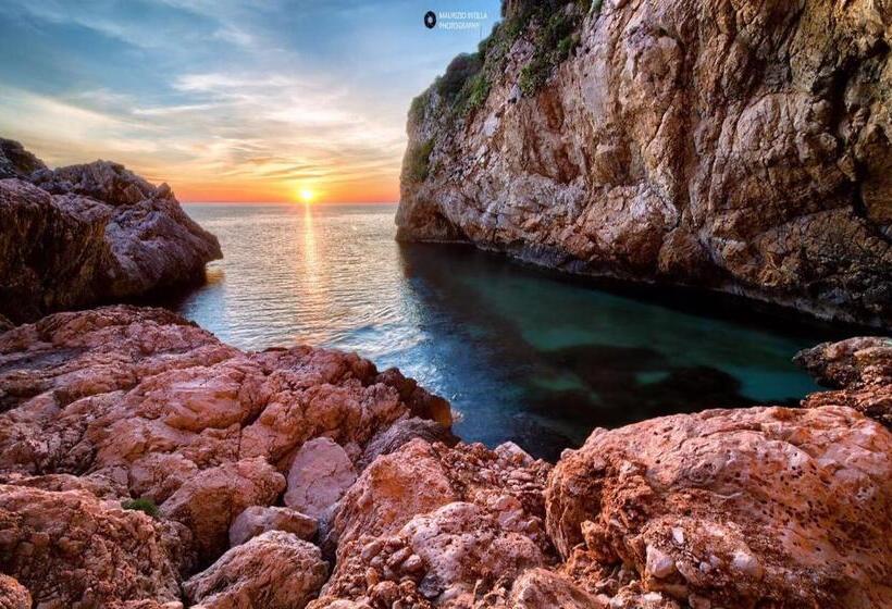 هتل B&b Cinisi Mare E Monti