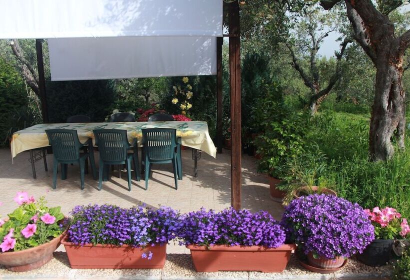 هتل B&b La Terrazza Di Frascati