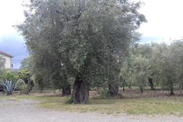 هتل B&b Oliveto Longo