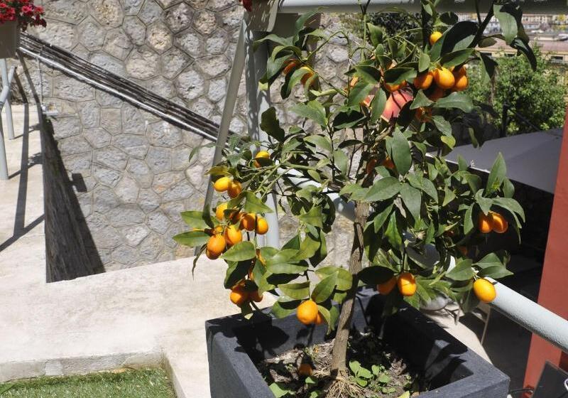 Fotos del hotel B&b Via Delle 5 Terre:  9