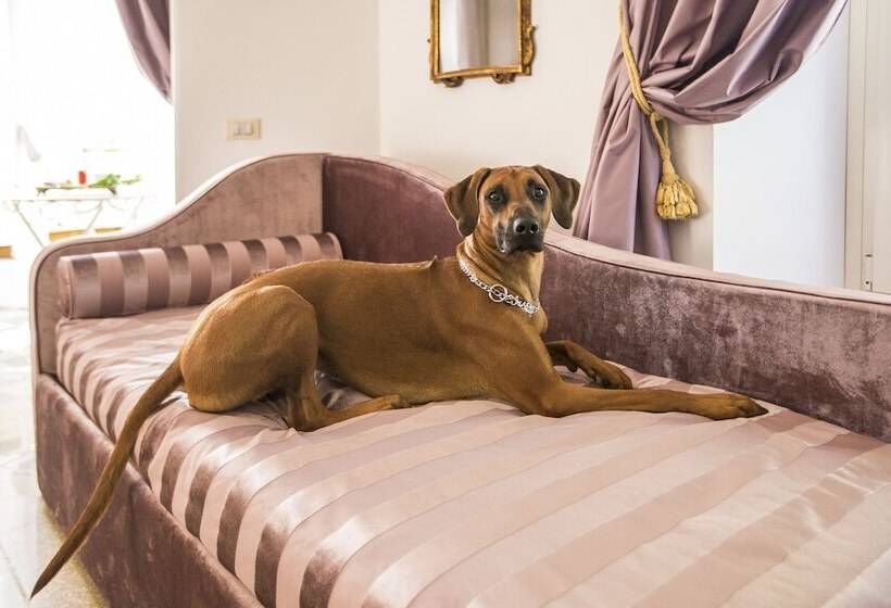 Fotos del hotel Trastevere Royal Suite:  26