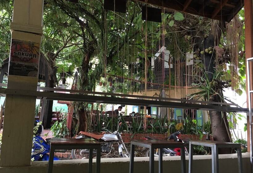 هتل Y Not Laos Hostel