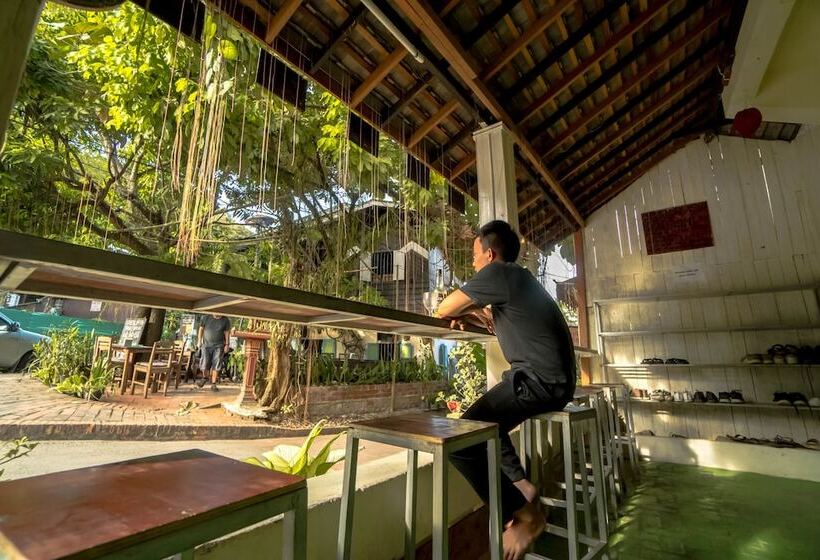 هتل Y Not Laos Hostel
