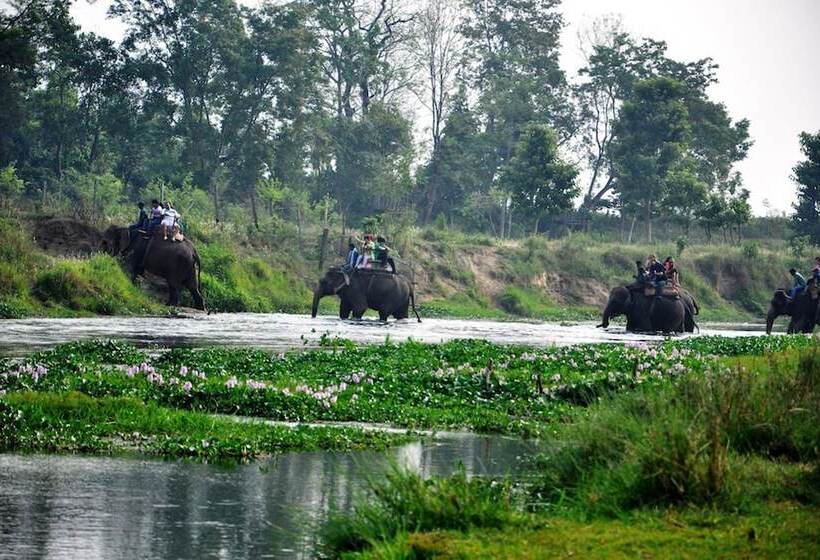 Fotos del hotel Chitwan Paradise:  25