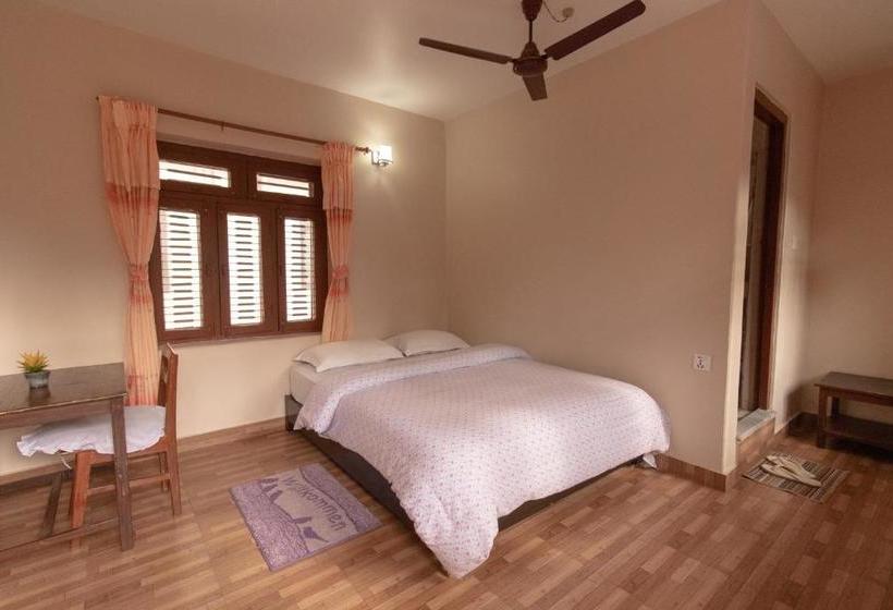 هتل New Tourist Guest House