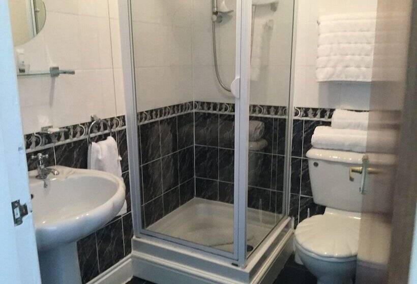Отель Plas Llwyd Guest House