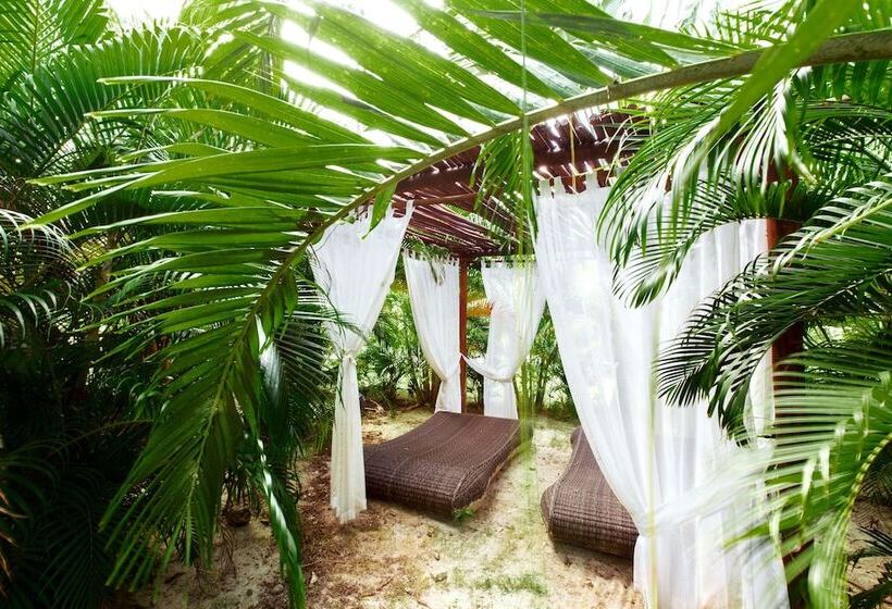 ホテル Tropicana Suites Deluxe Beach Club & Pool