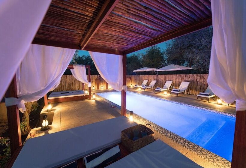 ホテル Bushbaby River Lodge