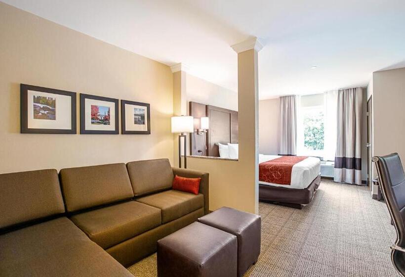 هتل Comfort Suites Fishkill Near Interstate 84