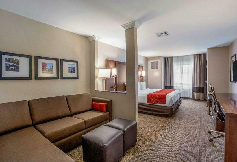 هتل Comfort Suites Fishkill Near Interstate 84