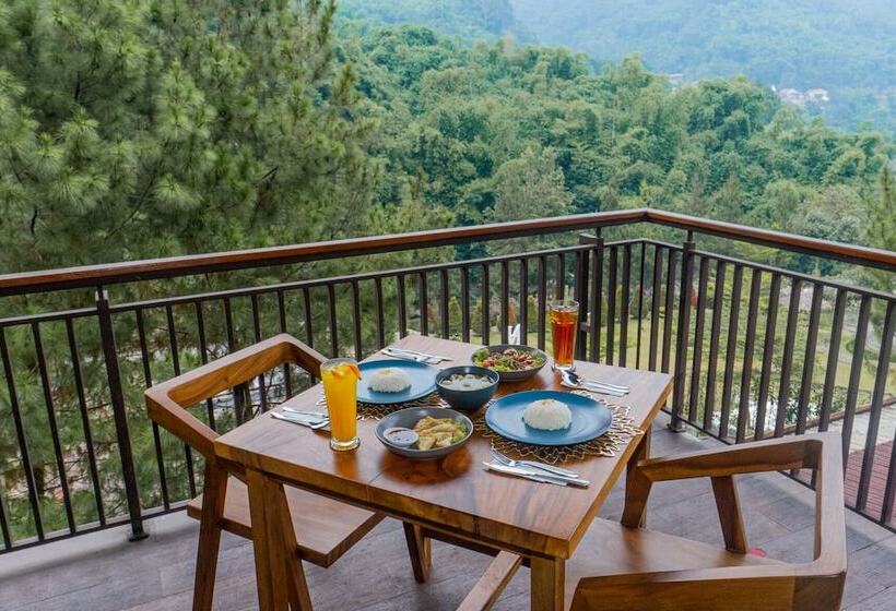 Fotos del hotel D'riam Riverside Resort:  12