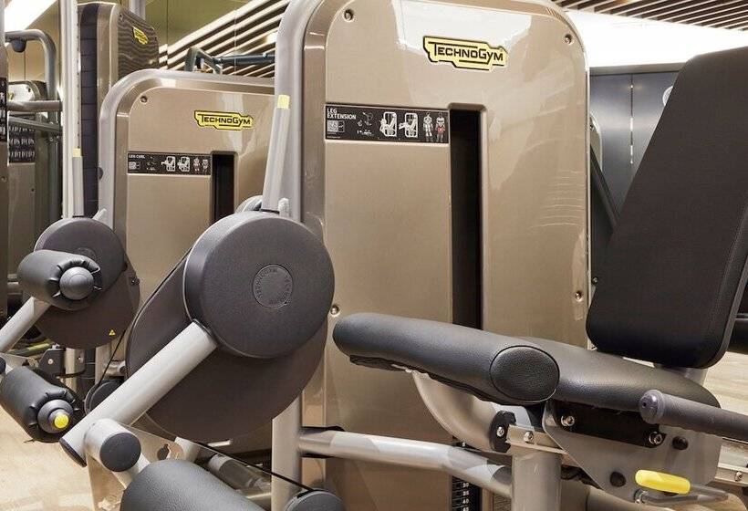 בית מלון כפרי Four Points By Sheraton Seoul, Gangnam