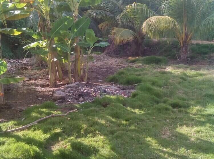 هتل G's Place