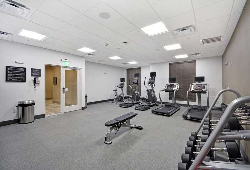 בית מלון כפרי Hilton Garden Inn Houston Hobby Airport, Tx