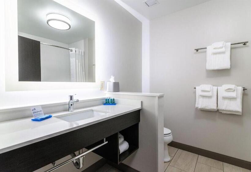 هتل Holiday Inn Express & Suites Allen Park, An Ihg