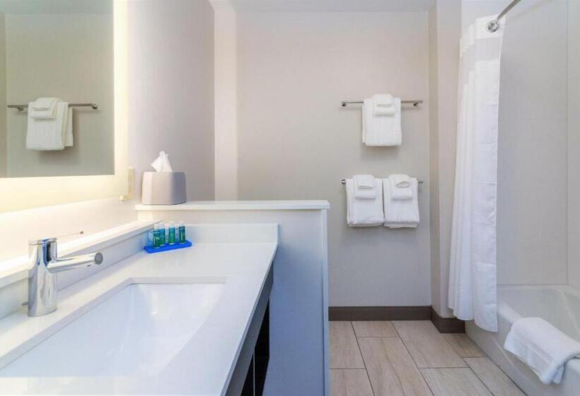 هتل Holiday Inn Express & Suites Allen Park, An Ihg