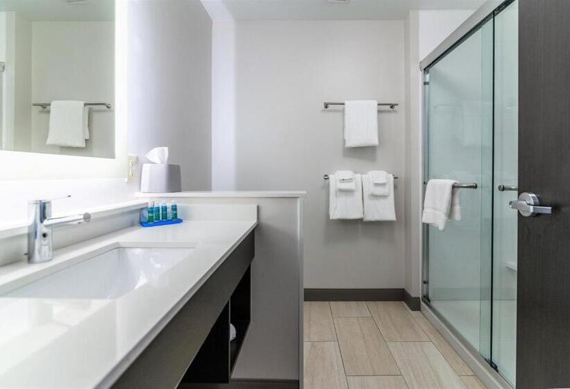 هتل Holiday Inn Express & Suites Allen Park, An Ihg