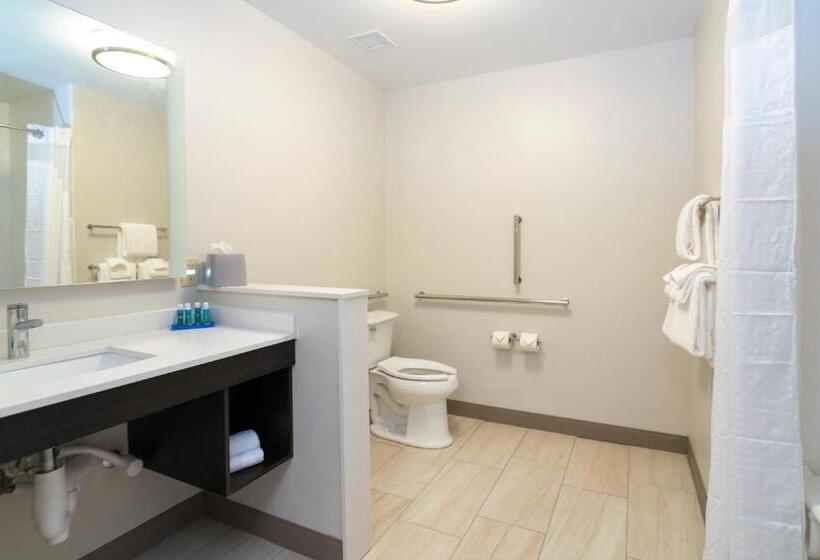 هتل Holiday Inn Express & Suites Allen Park, An Ihg
