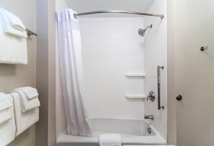 هتل Holiday Inn Express & Suites Allen Park, An Ihg