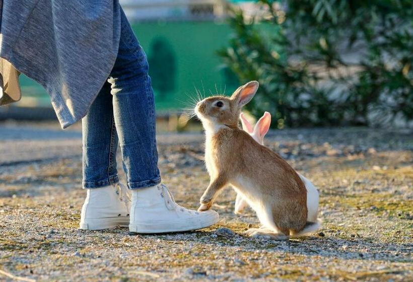 Fotos del hotel Kyukamura Ohkunoshima:  3