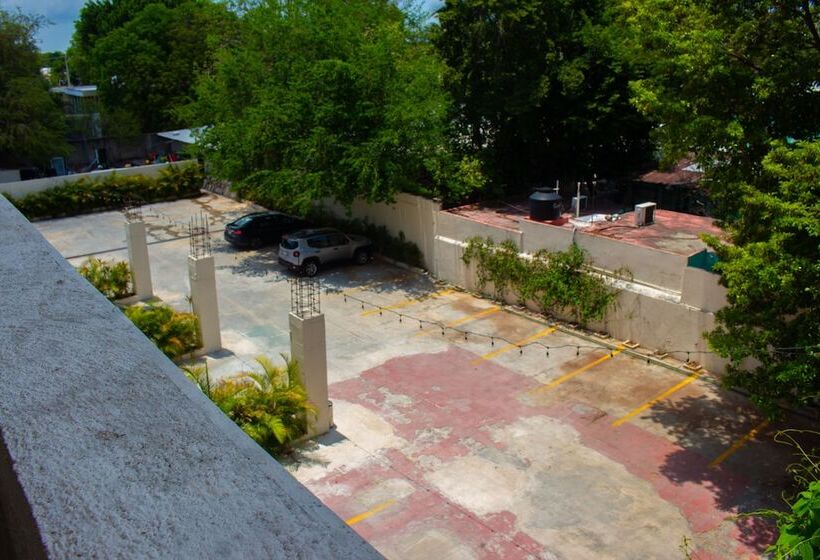 Fotos del hotel Palacio Maya:  19
