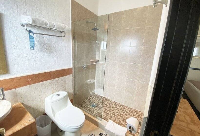 Fotos del hotel Palacio Maya:  28