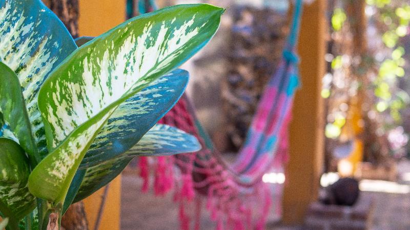 هتل Posada Los Tajibos