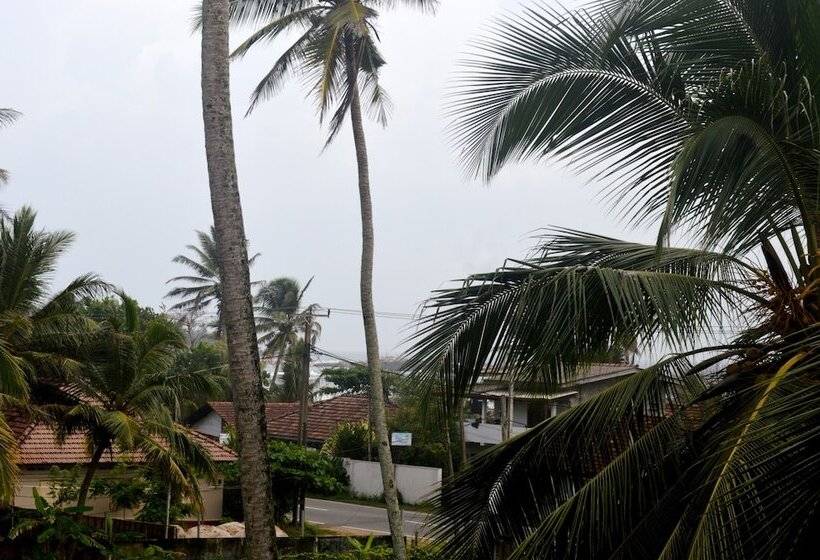 هتل Shyni Tourist Guesthouse
