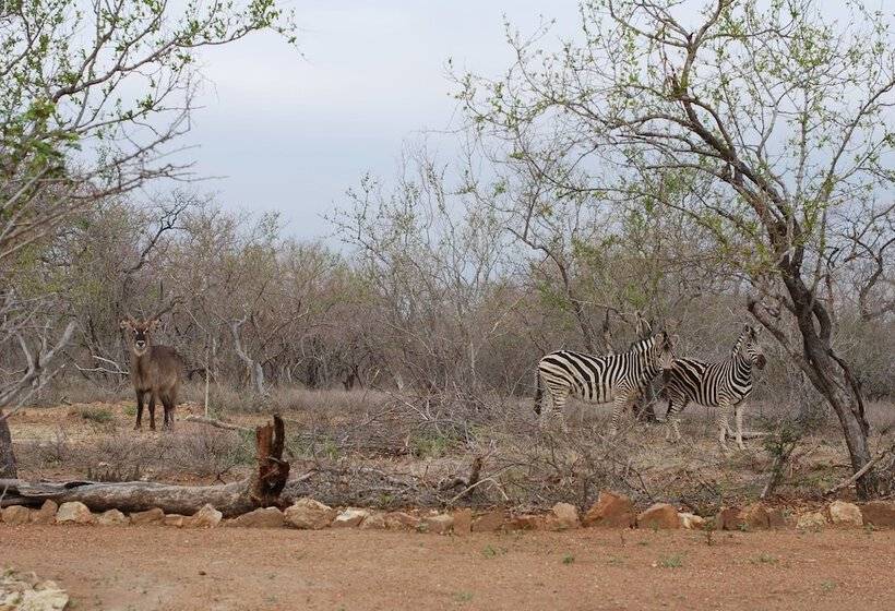 فندق The Baobab Bush Lodge, No Self Catering