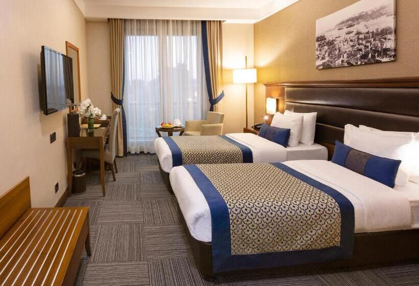 Fotos del hotel Grand Makel  Topkapi:  3