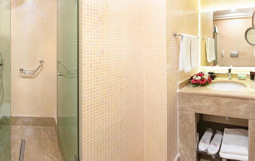 Fotos del hotel Grand Makel  Topkapi:  36