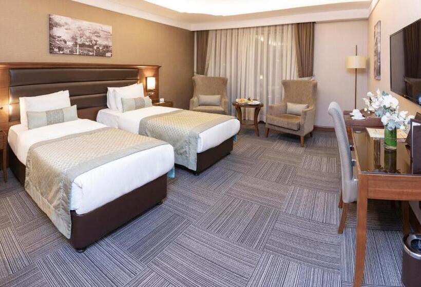 Fotos del hotel Grand Makel  Topkapi:  5