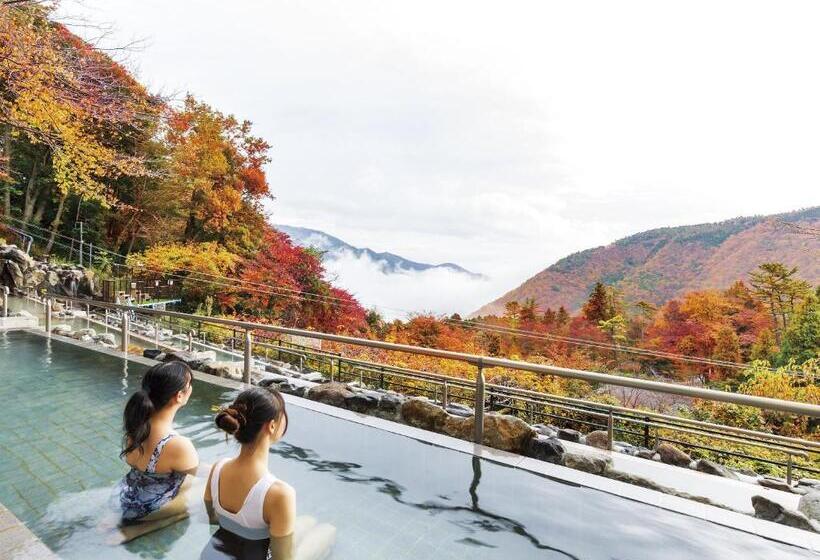 Fotos del hotel Hakone Kowakien Ten-yu:  20