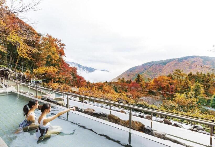 Fotos del hotel Hakone Kowakien Ten-yu:  26